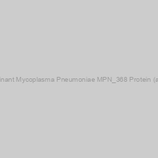 Image of Recombinant Mycoplasma Pneumoniae MPN_368 Protein (aa 1-180)